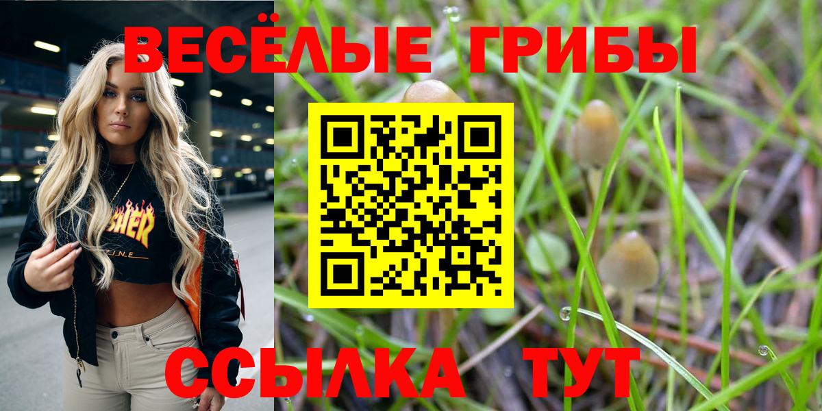 Псилоцибиновые грибы ЛСД  даркнет сайт  Луховицы  Галлюциногенные грибы MAGIC MUSHROOMS  Вход с VPN 